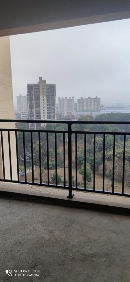 鸿海公园里）