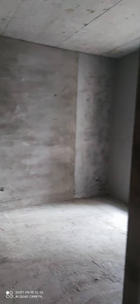 鸿海公园里 随时看房·