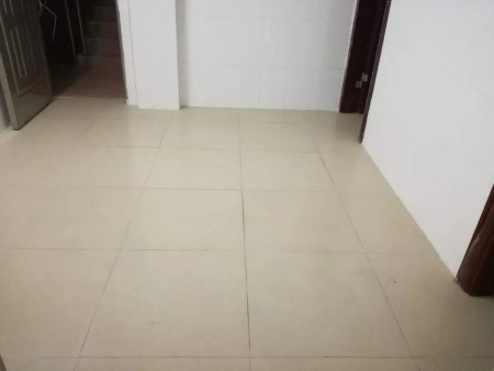 民治樟坑三区 随时看房·