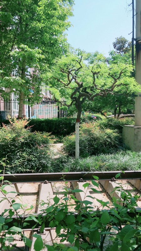 郑州绿都城）