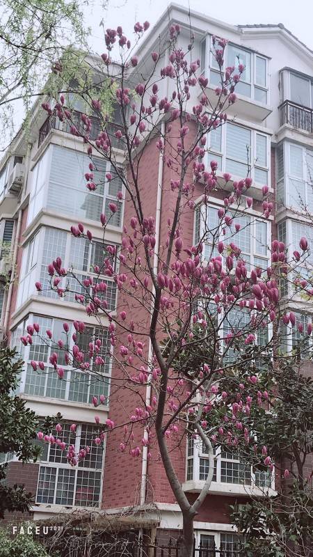 郑州绿都城 随时看房·