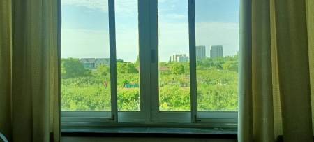 合庆镇向东村）