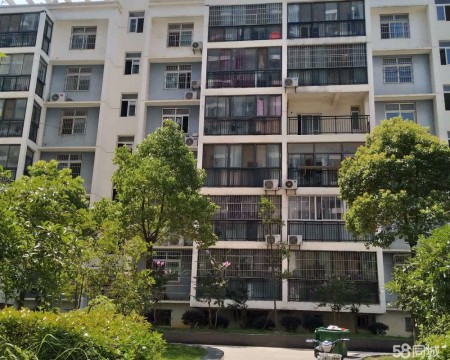 丽水天成 随时看房·