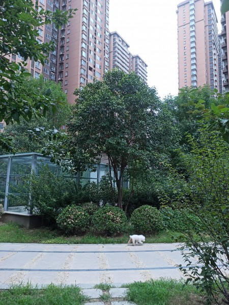 京广家园 随时看房·
