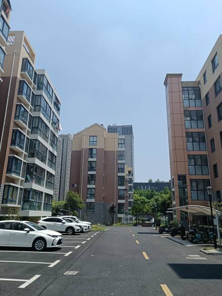 浙新小区 2居室 1500元/月