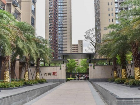 布吉万科红3期 2居室 5000元/月