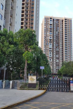康泰家园 随时看房·