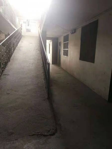 老虎岭 随时看房·