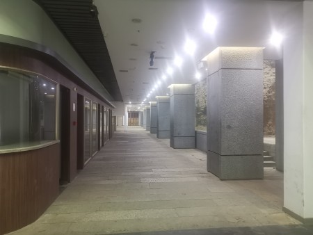 明秦王府城墙内建筑 随时看房·