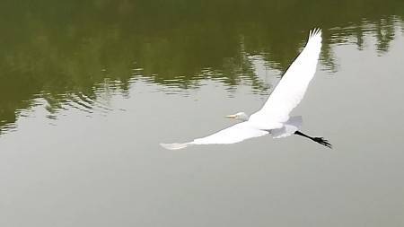 荣阳大街小区 随时看房·
