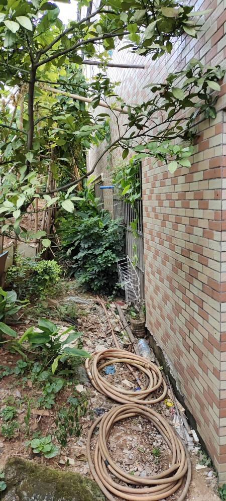 荣阳大街小区 随时看房·