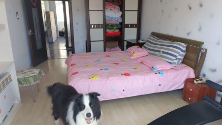 桃仙小区 随时看房·