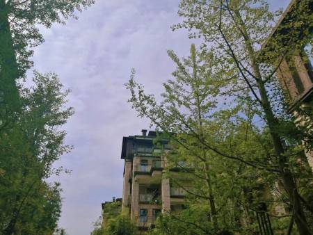 福星惠誉青城府 随时看房·