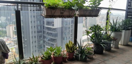 西城丰和花园 随时看房·