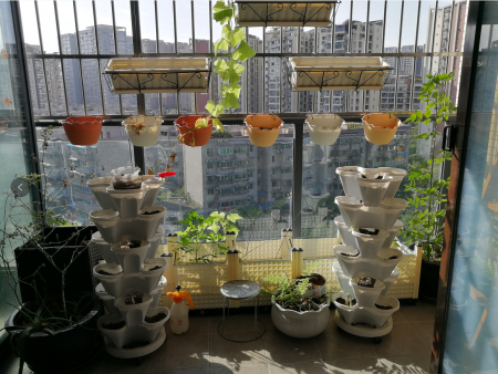 中铁西子香荷小区 随时看房·
