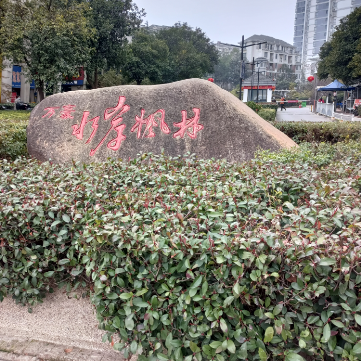 万豪水岸枫林 3居室 850元/月