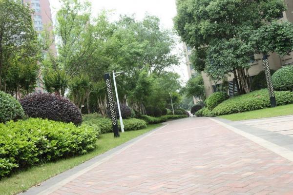 揽胜公园 随时看房·