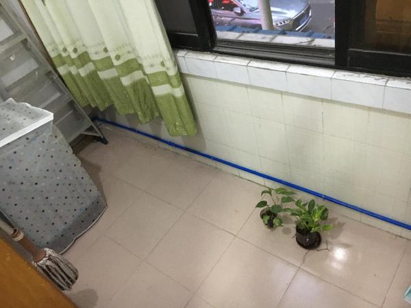 大沙地西小区  随时看房·