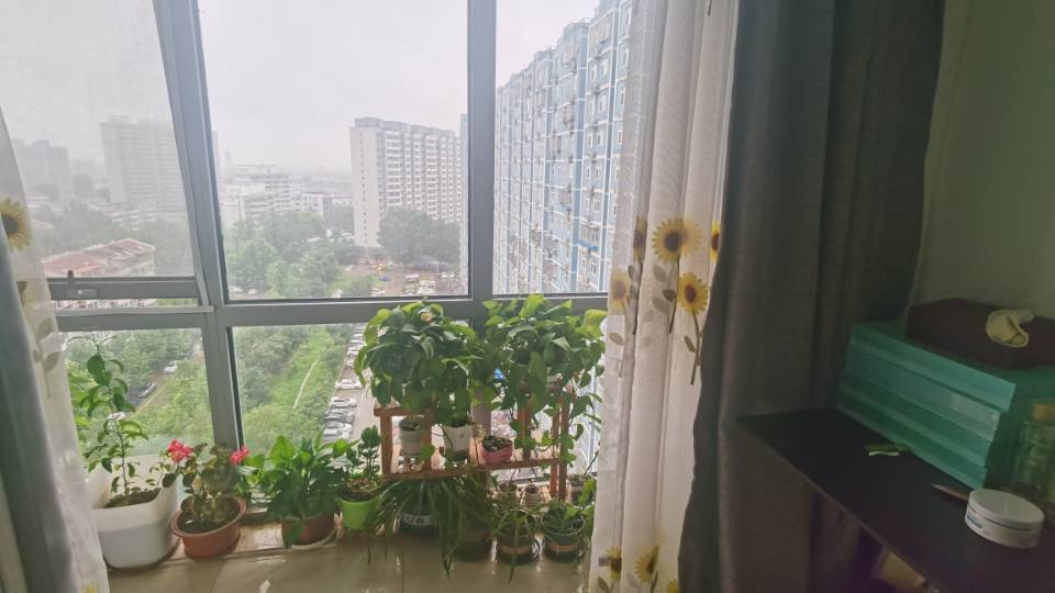 新龙大厦 随时看房·