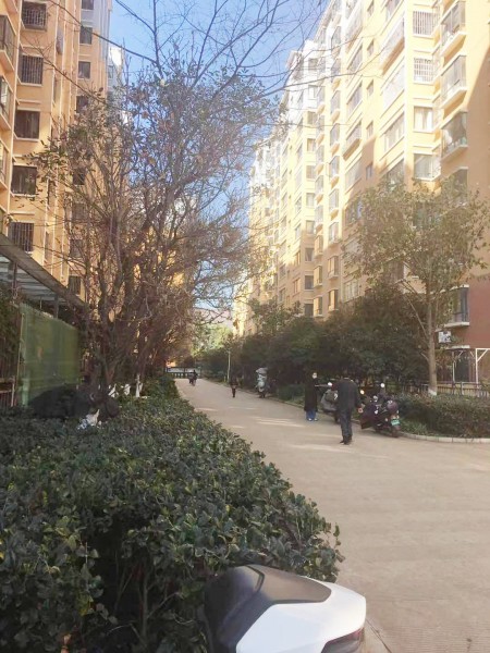 明水丽景 随时看房·