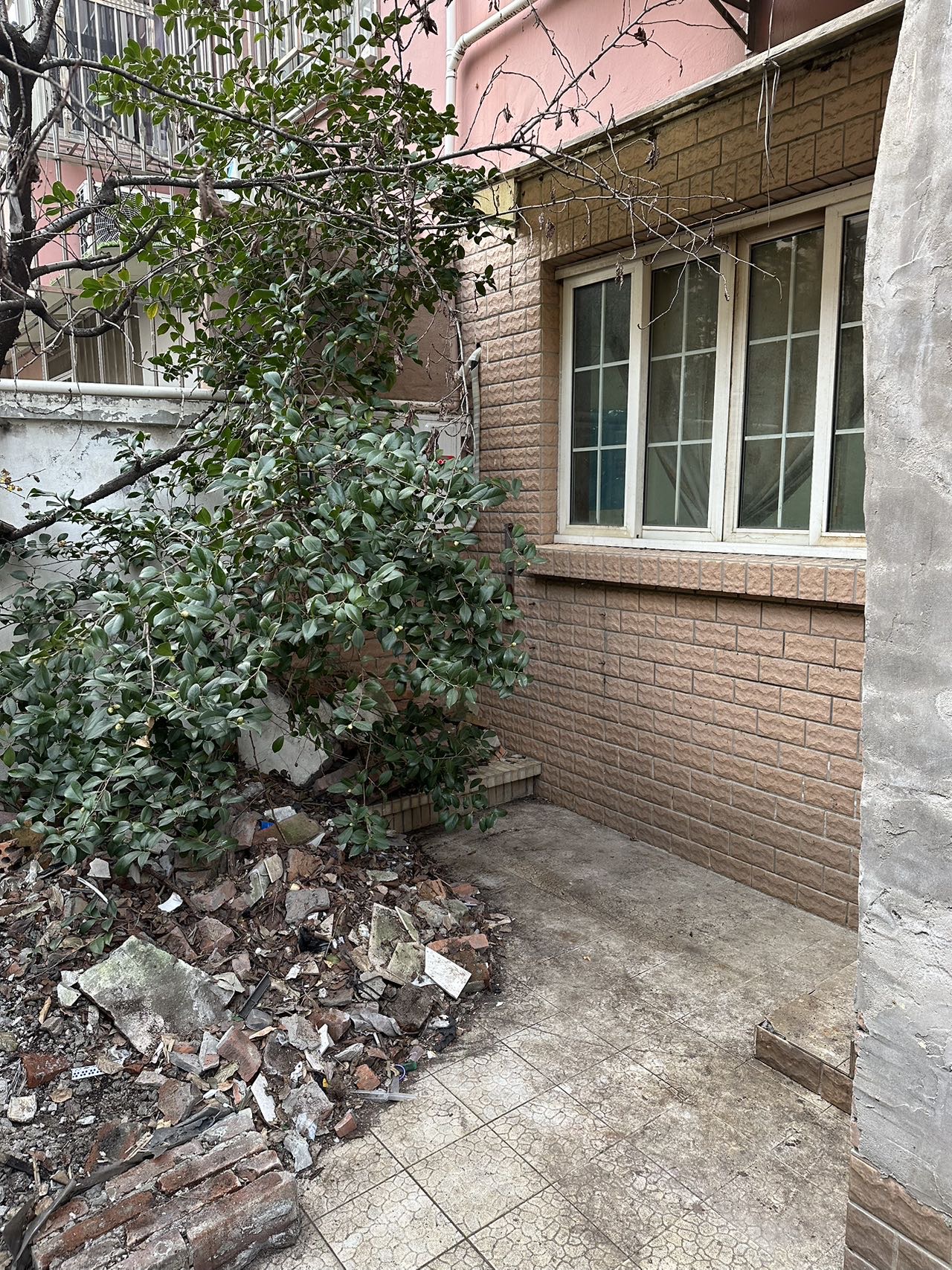 龙柏三村 随时看房·