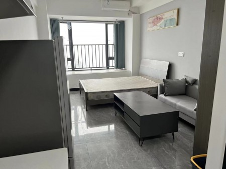 龙湖湘江星座 1居室 1800元/月