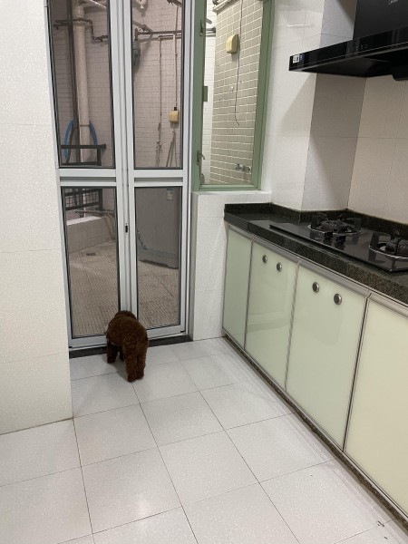 世纪绿洲 随时看房·