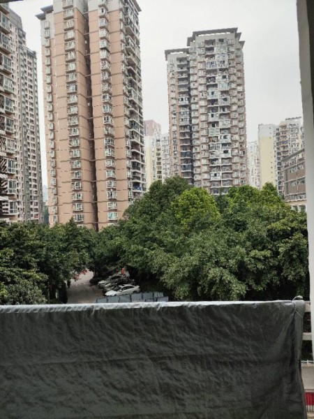 南极凤麟苑 随时看房·