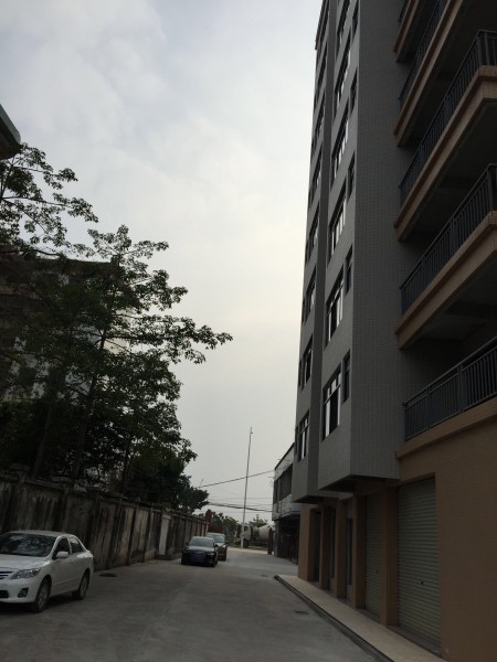 龙泉新村 随时看房·