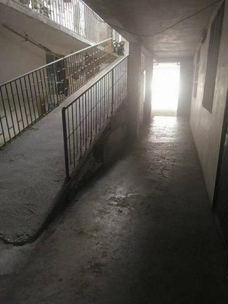 五一路老虎岭 随时看房·