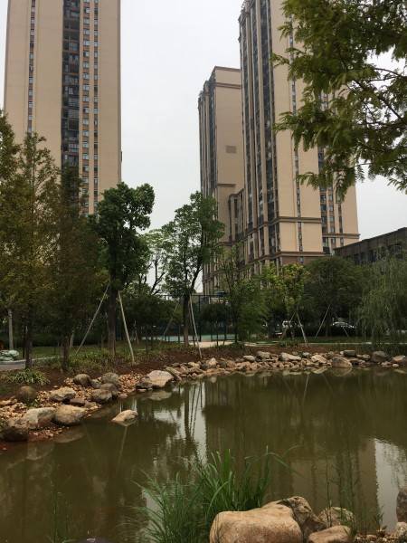长龙湾 随时看房·