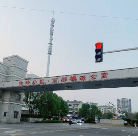丽都桃源小区 随时看房·