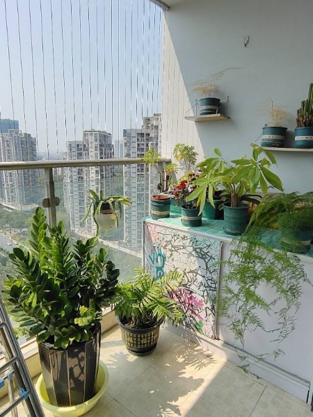 阳光花地苑 随时看房·