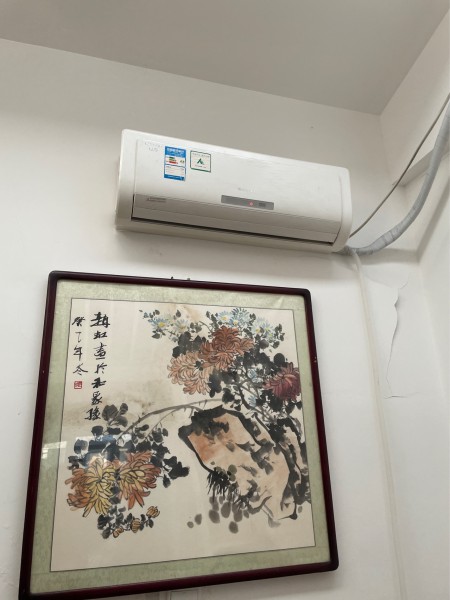 东晓市街 随时看房·