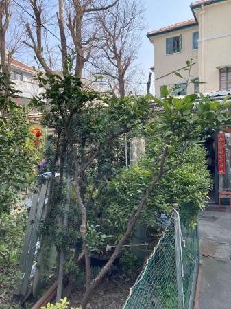 泰安路 随时看房·