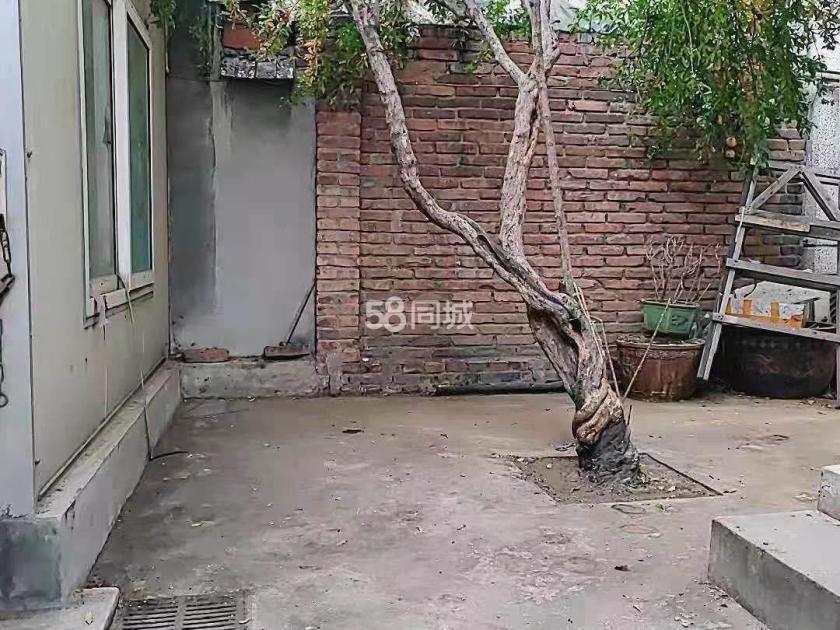 纬北小区 随时看房·