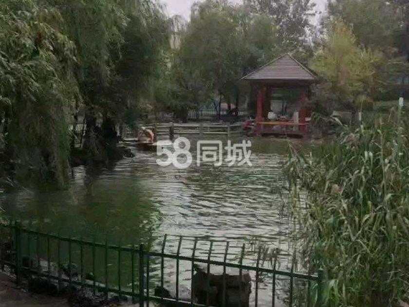 影山府邸 随时看房·