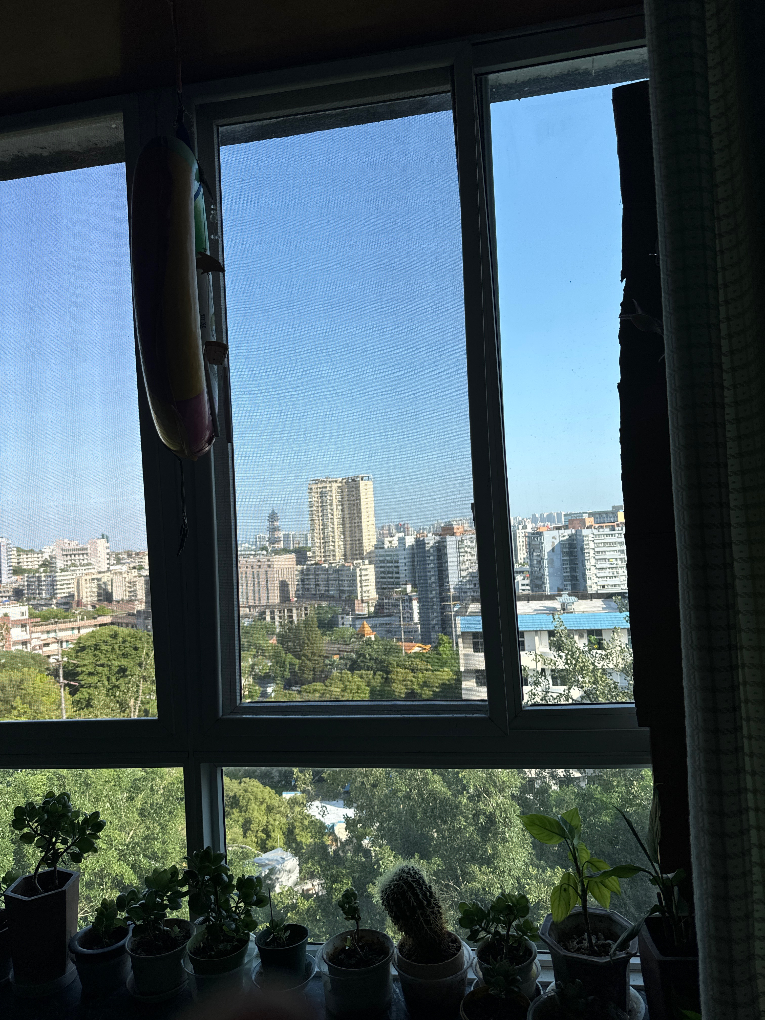 南湖水岸豪庭9栋 随时看房·