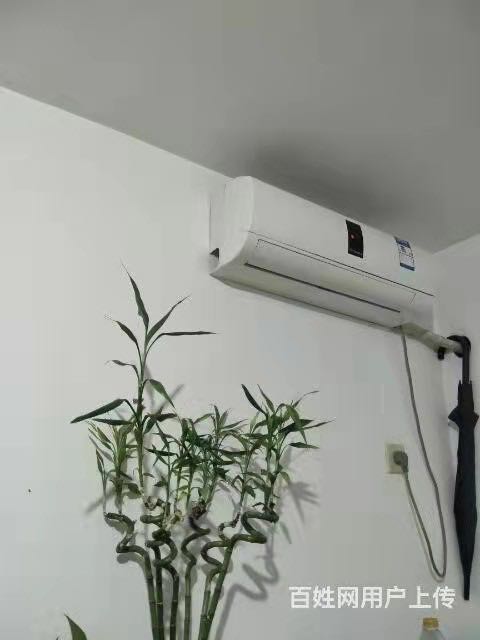 新高苑2期 随时看房·