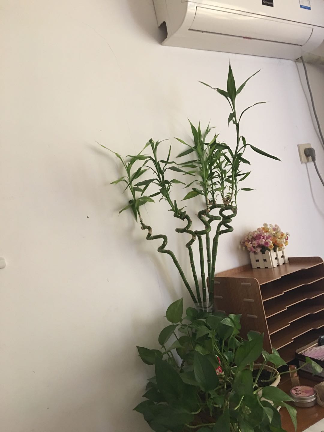 新高苑2期 随时看房·