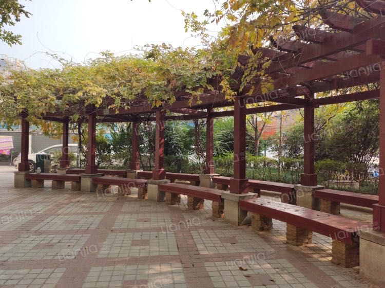 美丽的院子 随时看房·