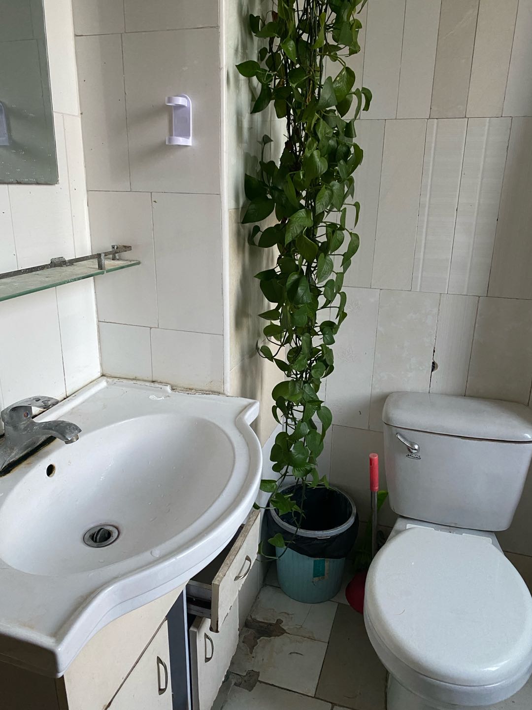水岸金桥苑 随时看房·