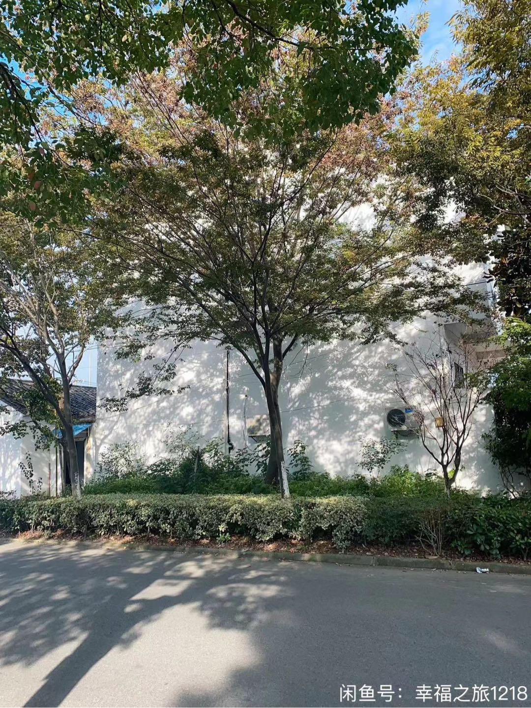 横泾镇上泽村捌组263 随时看房·