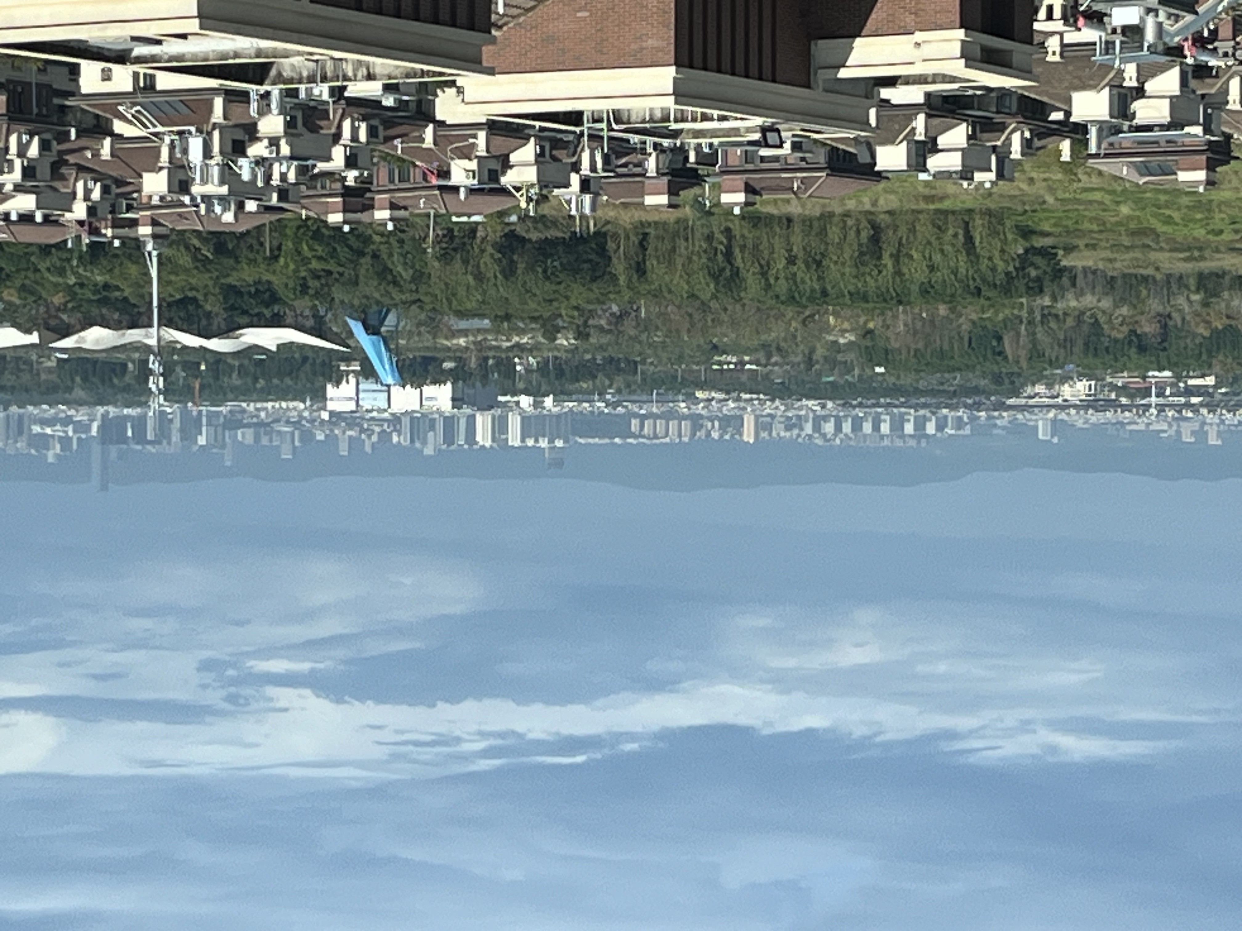 龙湖听蓝半岛 随时看房·