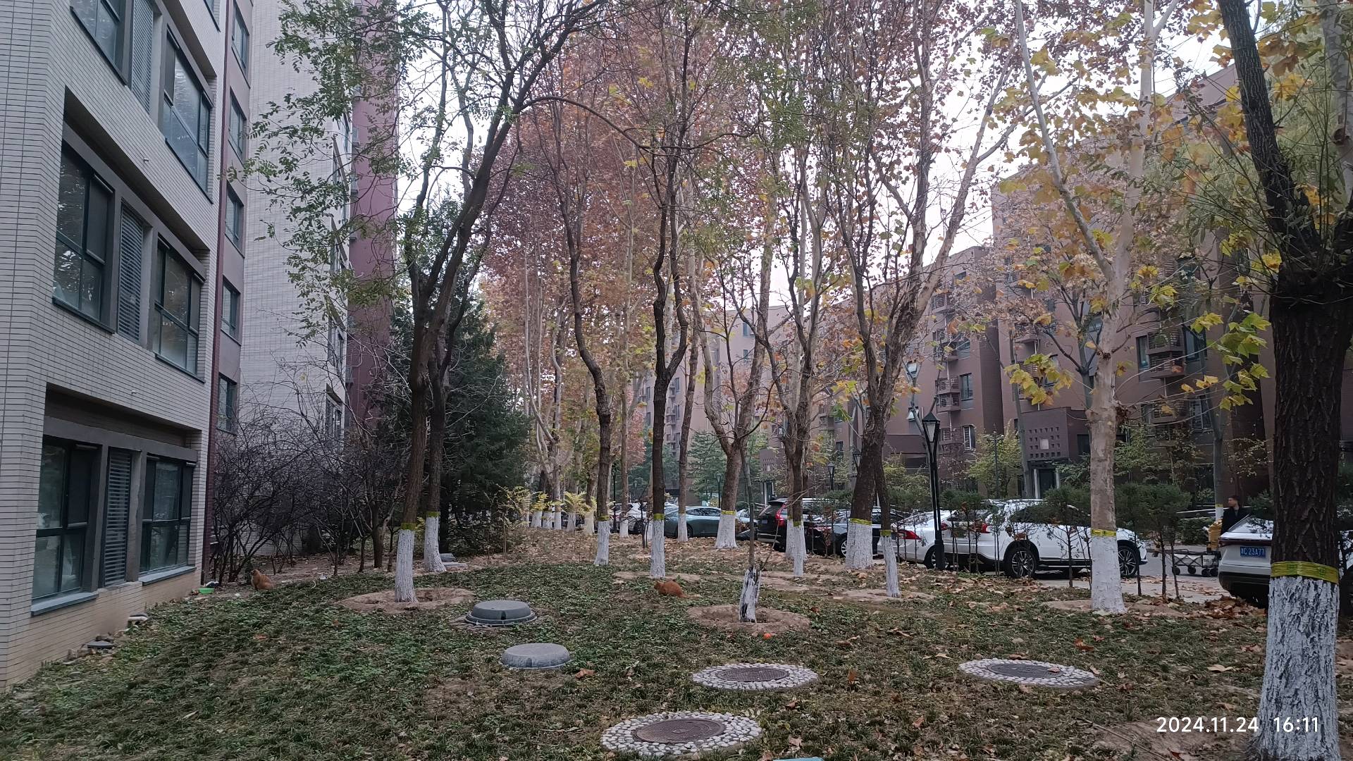 远洋一方 随时看房·