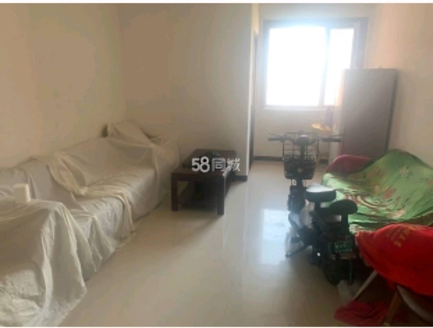 阳光绿城 随时看房·