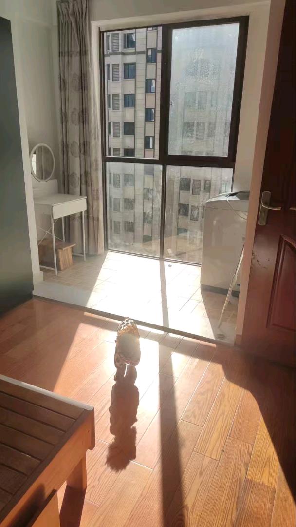 东原湖光里 随时看房·