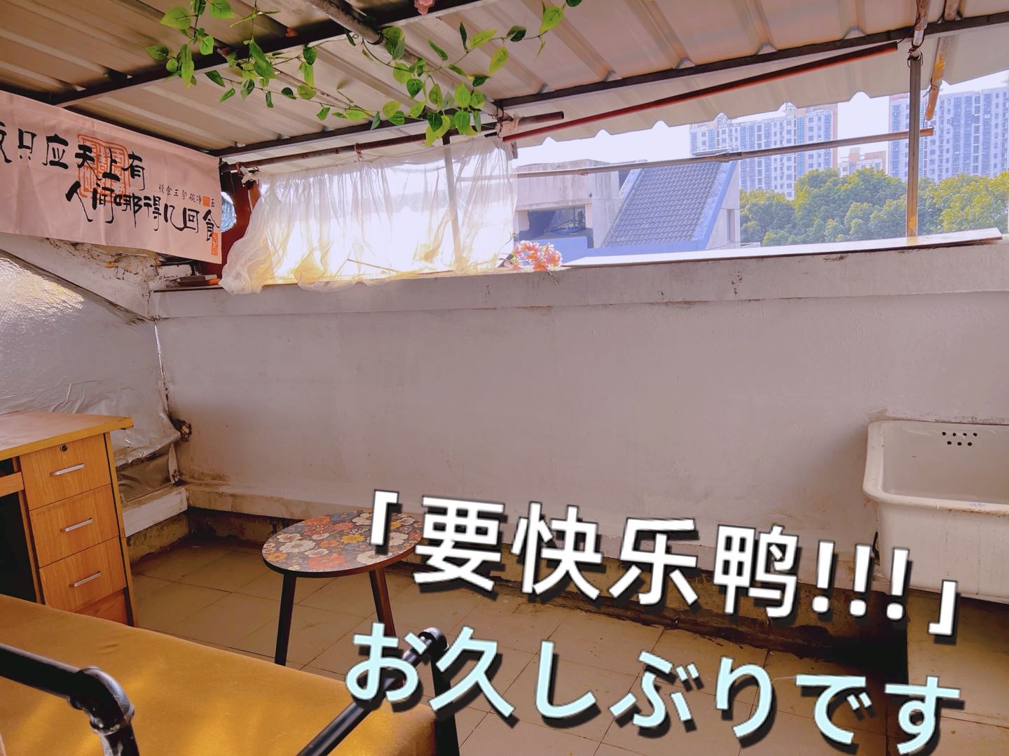吴淞新村 随时看房·