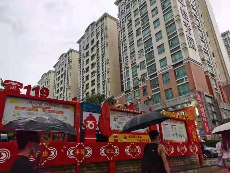 布吉桂芳园 随时看房·