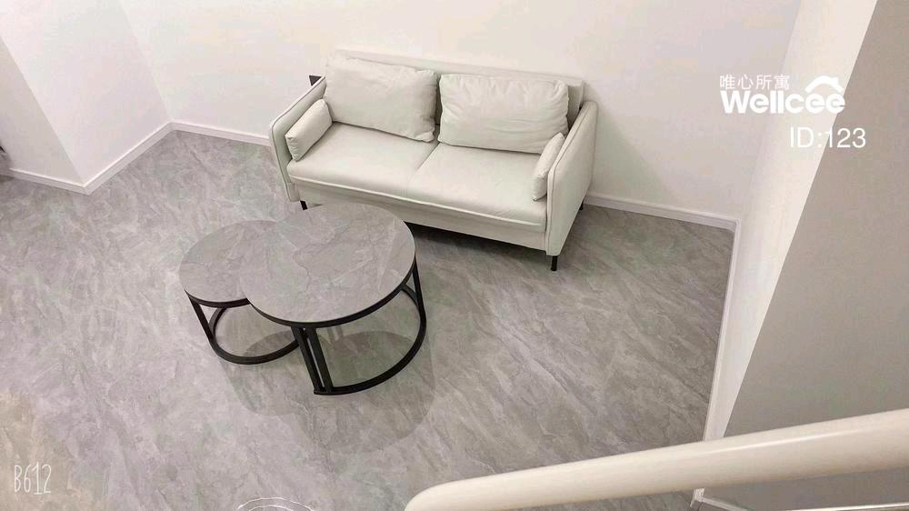 卓越嘉悦 随时看房·